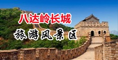 鸡鸡操骚逼免费视频中国北京-八达岭长城旅游风景区