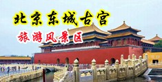 小穴要被鸡巴捅穿的视频中国北京-东城古宫旅游风景区